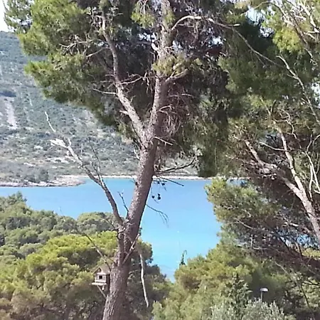 Bajan Primošten